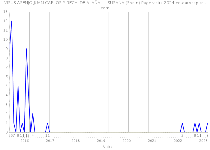 VISUS ASENJO JUAN CARLOS Y RECALDE ALAÑA SUSANA (Spain) Page visits 2024 