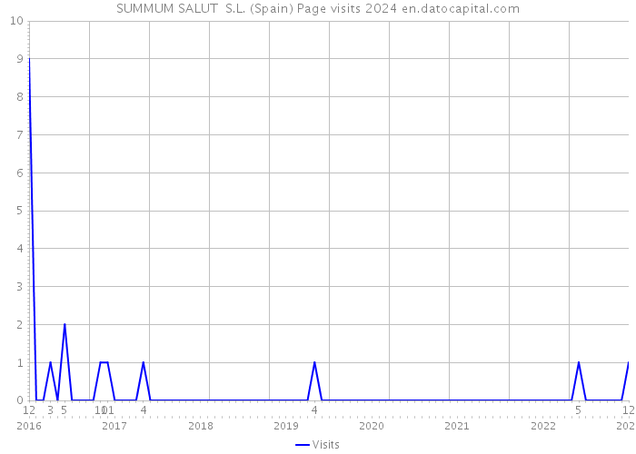 SUMMUM SALUT S.L. (Spain) Page visits 2024 