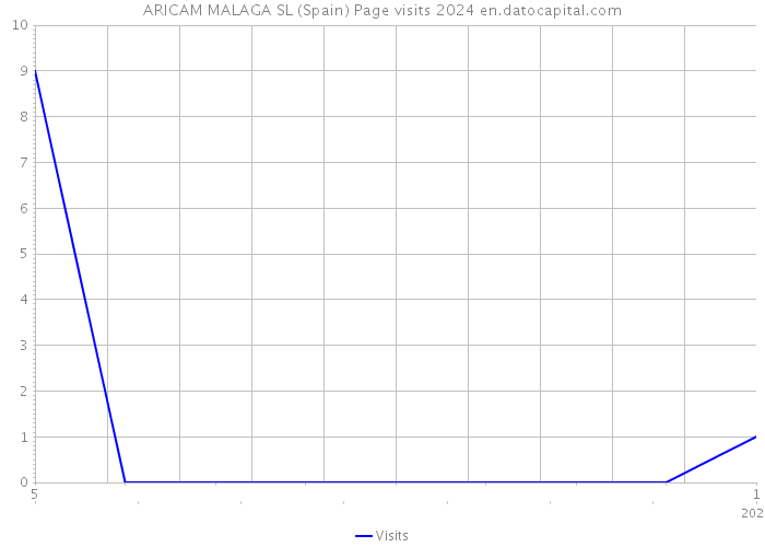 ARICAM MALAGA SL (Spain) Page visits 2024 