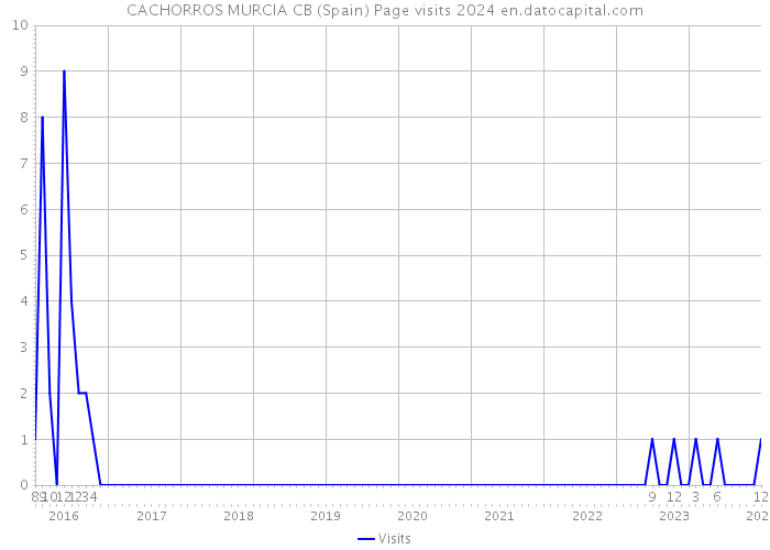 CACHORROS MURCIA CB (Spain) Page visits 2024 