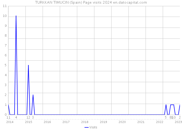 TURKKAN TIMUCIN (Spain) Page visits 2024 