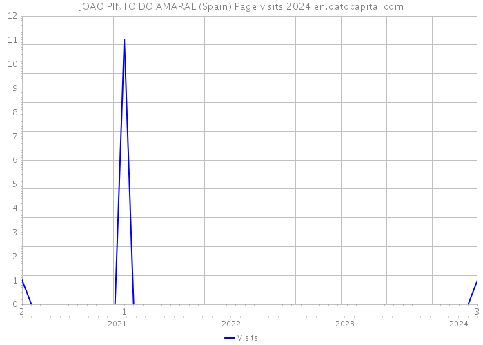 JOAO PINTO DO AMARAL (Spain) Page visits 2024 