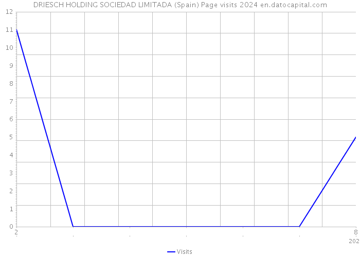 DRIESCH HOLDING SOCIEDAD LIMITADA (Spain) Page visits 2024 