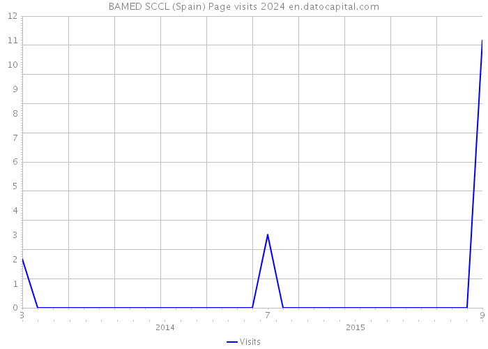 BAMED SCCL (Spain) Page visits 2024 