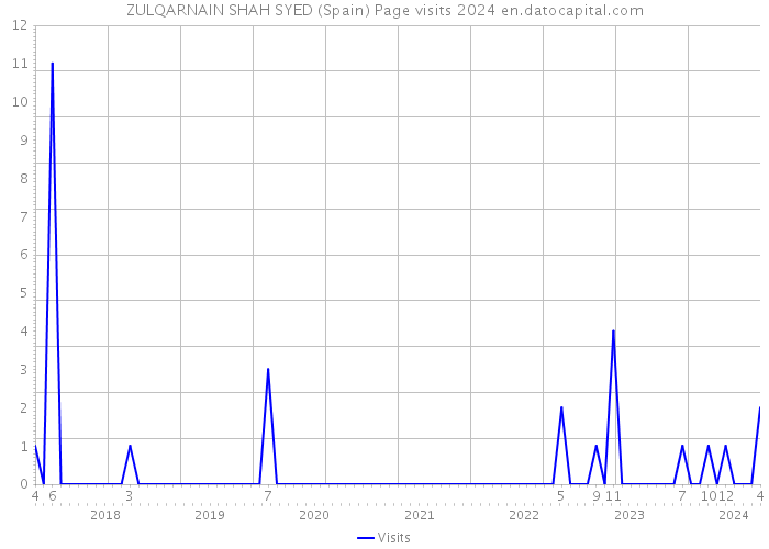 ZULQARNAIN SHAH SYED (Spain) Page visits 2024 