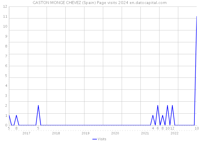 GASTON MONGE CHEVEZ (Spain) Page visits 2024 