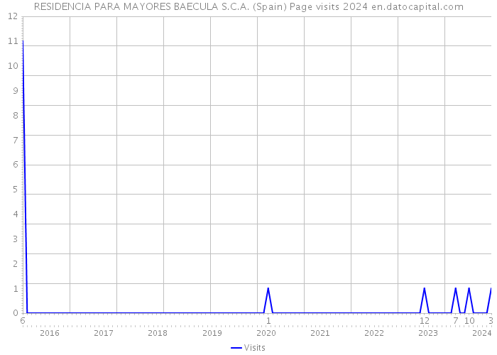 RESIDENCIA PARA MAYORES BAECULA S.C.A. (Spain) Page visits 2024 