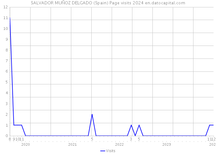 SALVADOR MUÑOZ DELGADO (Spain) Page visits 2024 