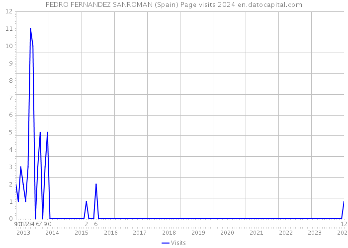 PEDRO FERNANDEZ SANROMAN (Spain) Page visits 2024 
