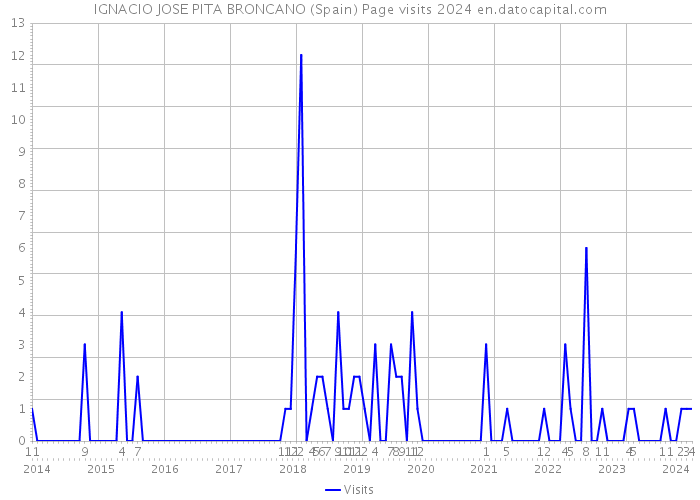 IGNACIO JOSE PITA BRONCANO (Spain) Page visits 2024 