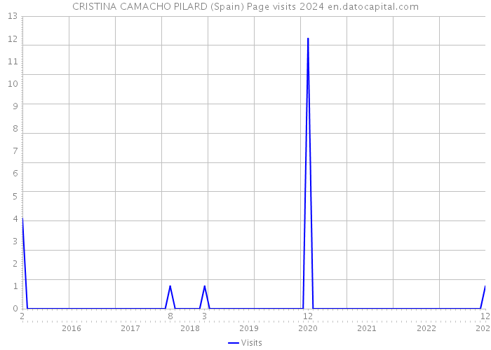 CRISTINA CAMACHO PILARD (Spain) Page visits 2024 