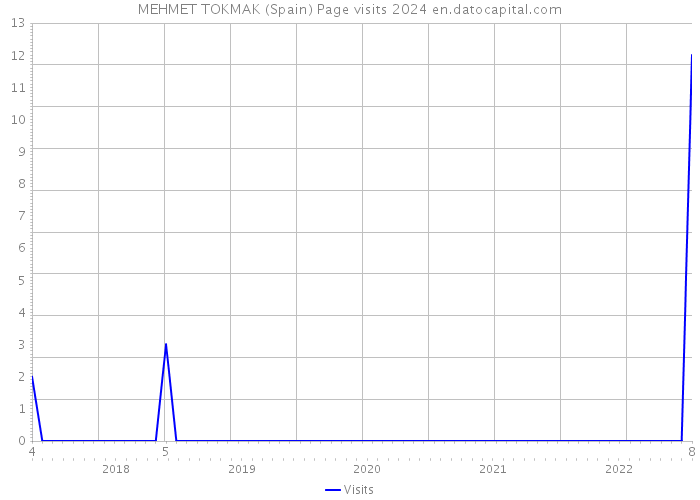 MEHMET TOKMAK (Spain) Page visits 2024 