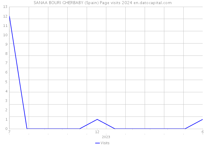 SANAA BOURI GHERBABY (Spain) Page visits 2024 