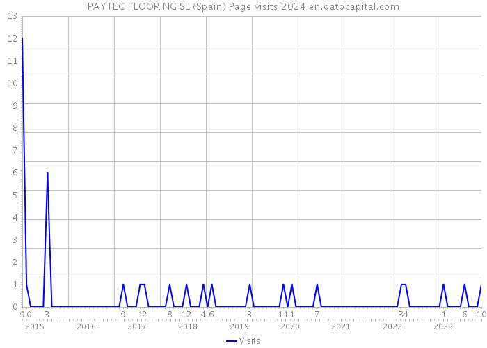 PAYTEC FLOORING SL (Spain) Page visits 2024 