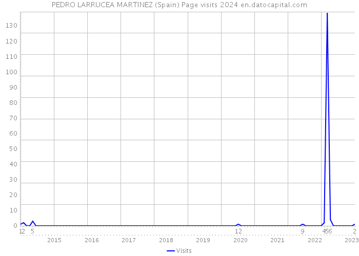 PEDRO LARRUCEA MARTINEZ (Spain) Page visits 2024 