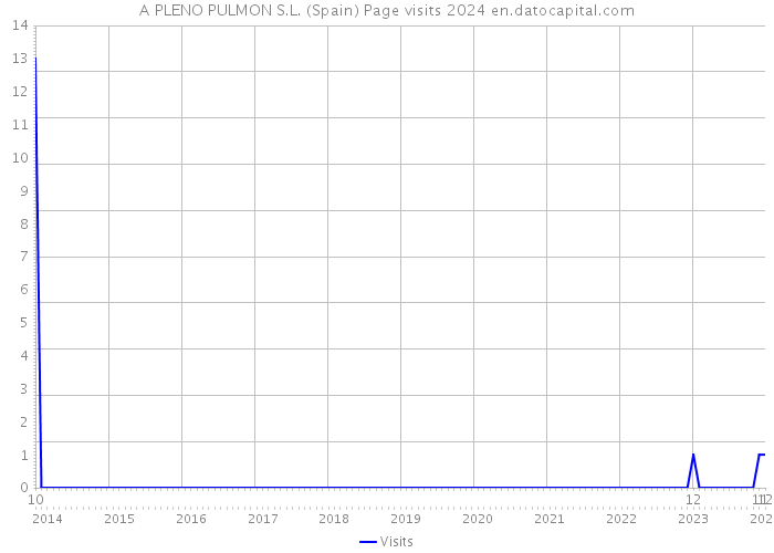 A PLENO PULMON S.L. (Spain) Page visits 2024 