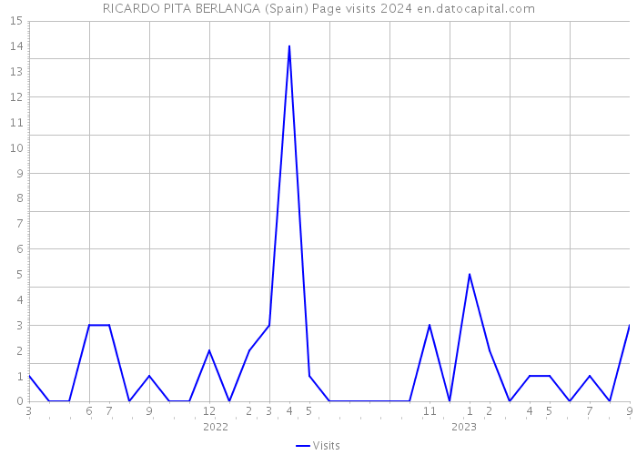RICARDO PITA BERLANGA (Spain) Page visits 2024 