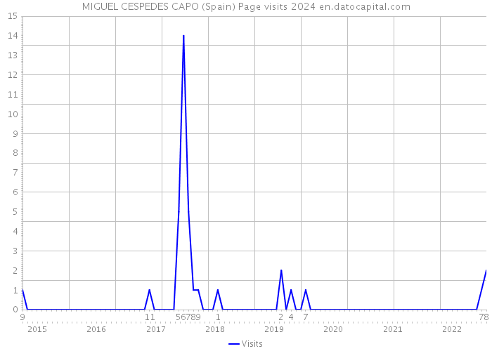 MIGUEL CESPEDES CAPO (Spain) Page visits 2024 