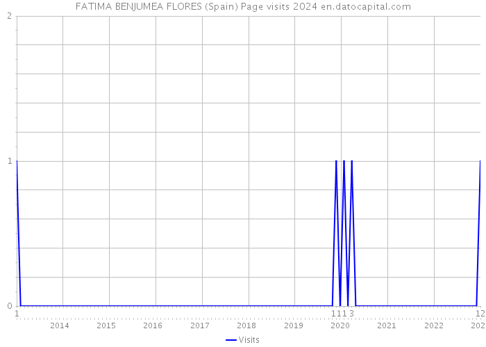 FATIMA BENJUMEA FLORES (Spain) Page visits 2024 