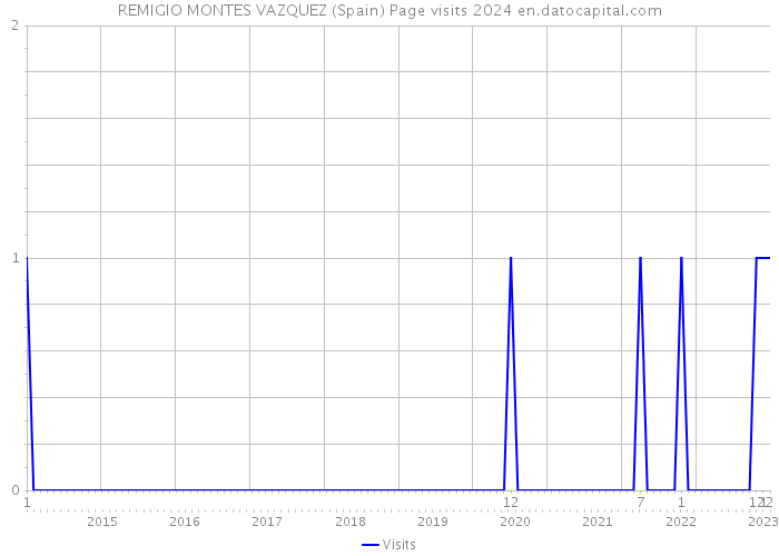 REMIGIO MONTES VAZQUEZ (Spain) Page visits 2024 