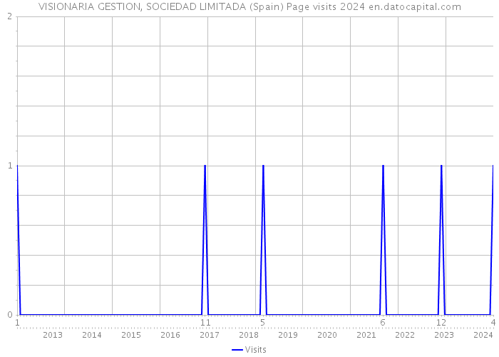VISIONARIA GESTION, SOCIEDAD LIMITADA (Spain) Page visits 2024 