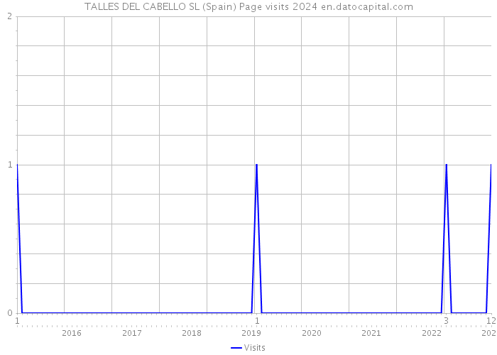 TALLES DEL CABELLO SL (Spain) Page visits 2024 