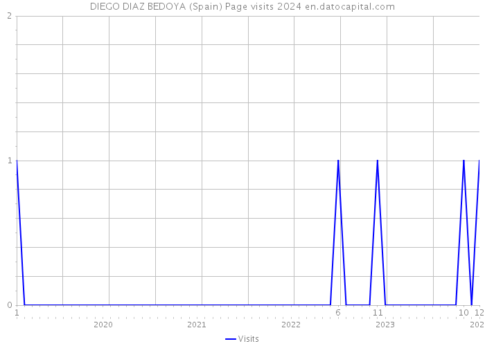 DIEGO DIAZ BEDOYA (Spain) Page visits 2024 