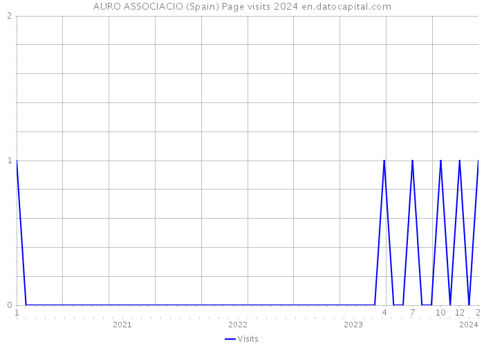 AURO ASSOCIACIO (Spain) Page visits 2024 