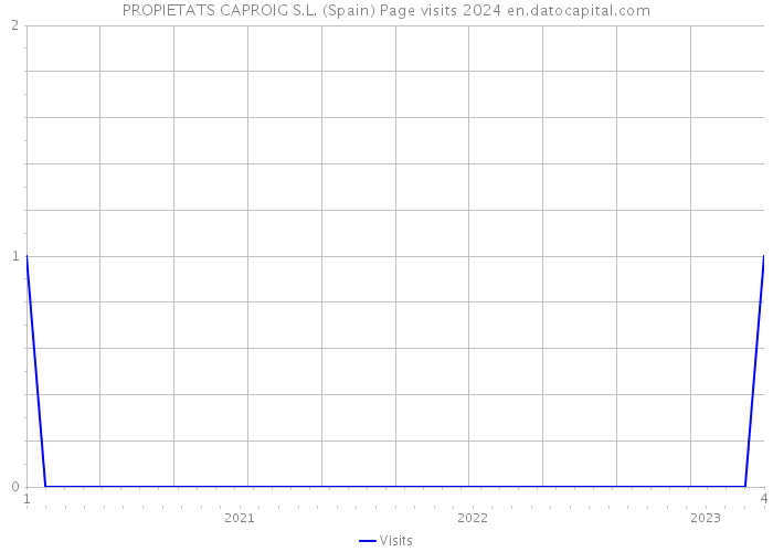 PROPIETATS CAPROIG S.L. (Spain) Page visits 2024 