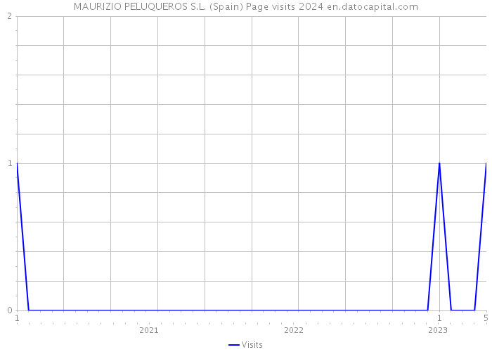 MAURIZIO PELUQUEROS S.L. (Spain) Page visits 2024 
