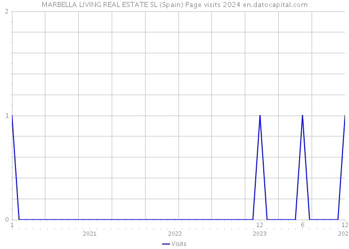 MARBELLA LIVING REAL ESTATE SL (Spain) Page visits 2024 