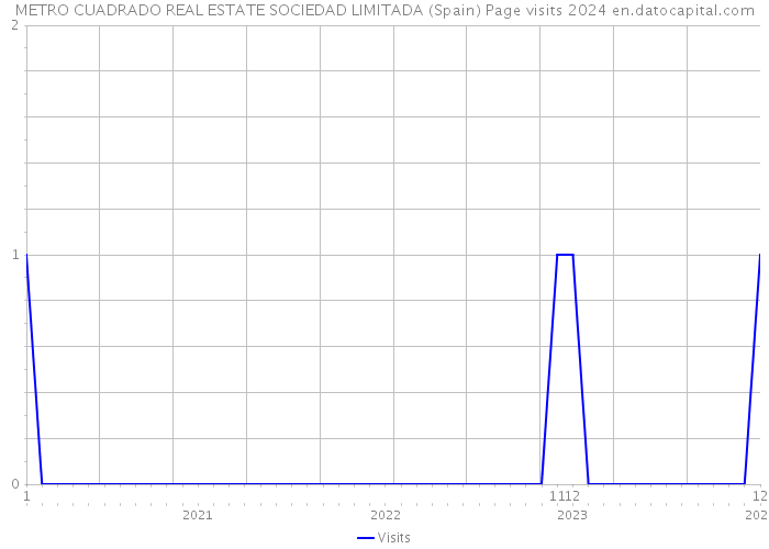METRO CUADRADO REAL ESTATE SOCIEDAD LIMITADA (Spain) Page visits 2024 