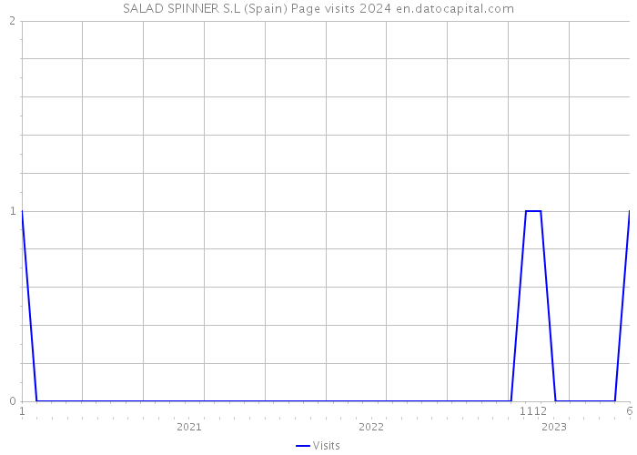 SALAD SPINNER S.L (Spain) Page visits 2024 