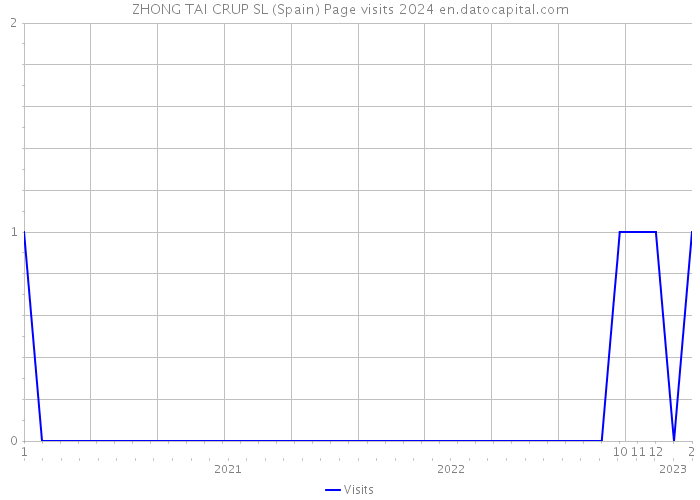 ZHONG TAI CRUP SL (Spain) Page visits 2024 