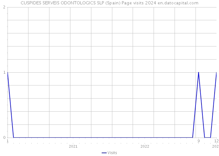 CUSPIDES SERVEIS ODONTOLOGICS SLP (Spain) Page visits 2024 