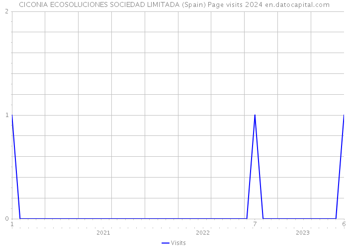 CICONIA ECOSOLUCIONES SOCIEDAD LIMITADA (Spain) Page visits 2024 