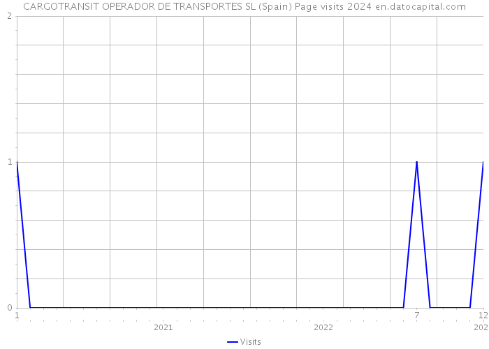 CARGOTRANSIT OPERADOR DE TRANSPORTES SL (Spain) Page visits 2024 
