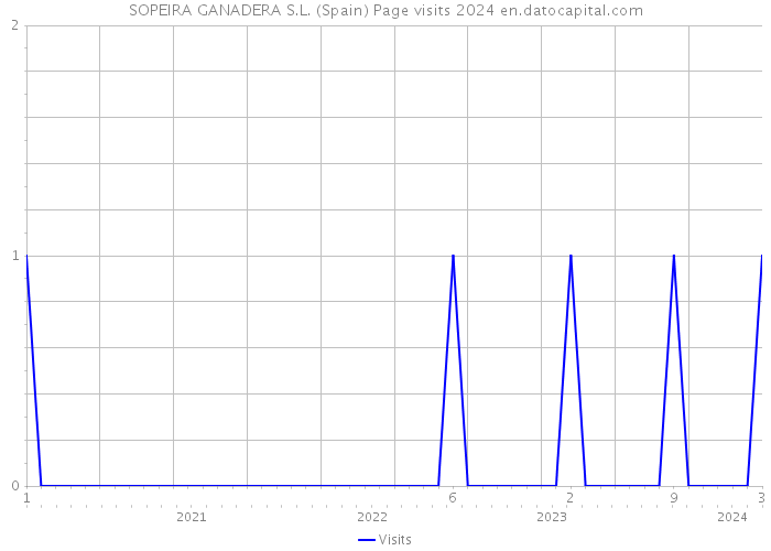 SOPEIRA GANADERA S.L. (Spain) Page visits 2024 