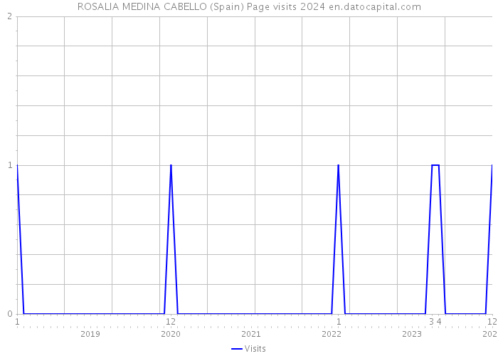 ROSALIA MEDINA CABELLO (Spain) Page visits 2024 