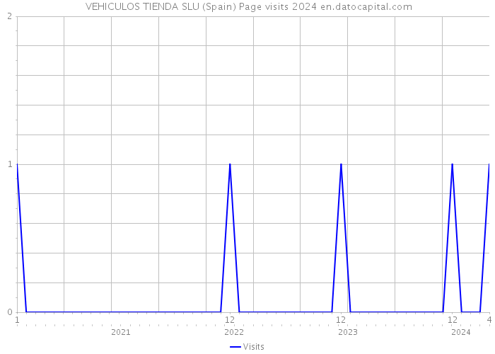  VEHICULOS TIENDA SLU (Spain) Page visits 2024 