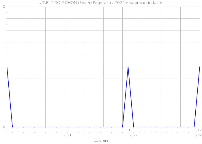 U.T.E. TIRO PICHON (Spain) Page visits 2024 
