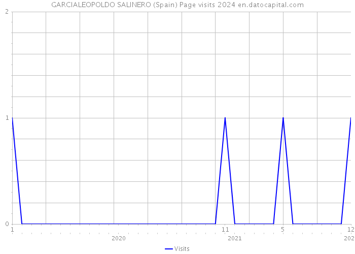 GARCIALEOPOLDO SALINERO (Spain) Page visits 2024 