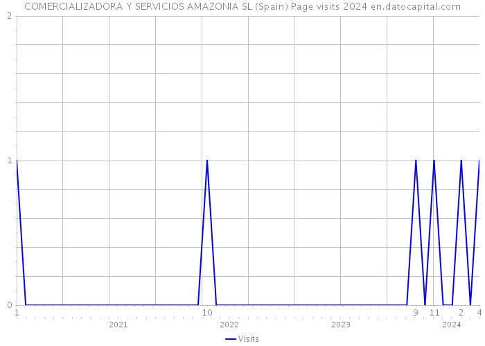 COMERCIALIZADORA Y SERVICIOS AMAZONIA SL (Spain) Page visits 2024 