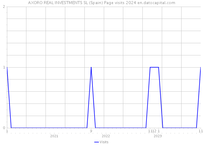 AXORO REAL INVESTMENTS SL (Spain) Page visits 2024 
