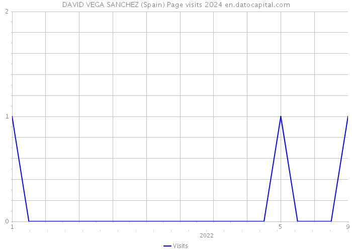 DAVID VEGA SANCHEZ (Spain) Page visits 2024 