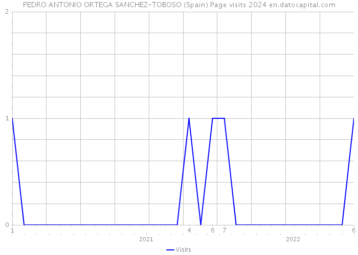PEDRO ANTONIO ORTEGA SANCHEZ-TOBOSO (Spain) Page visits 2024 