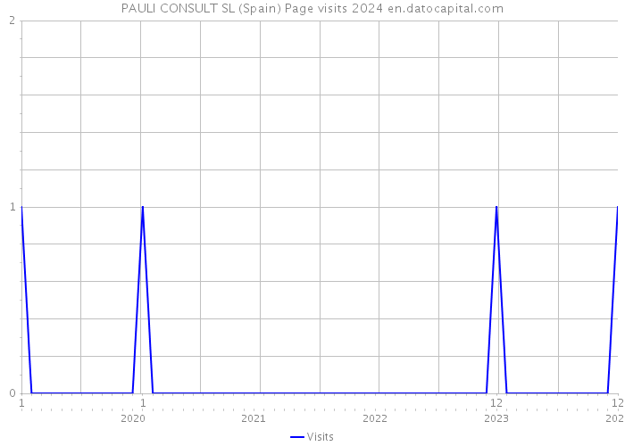 PAULI CONSULT SL (Spain) Page visits 2024 