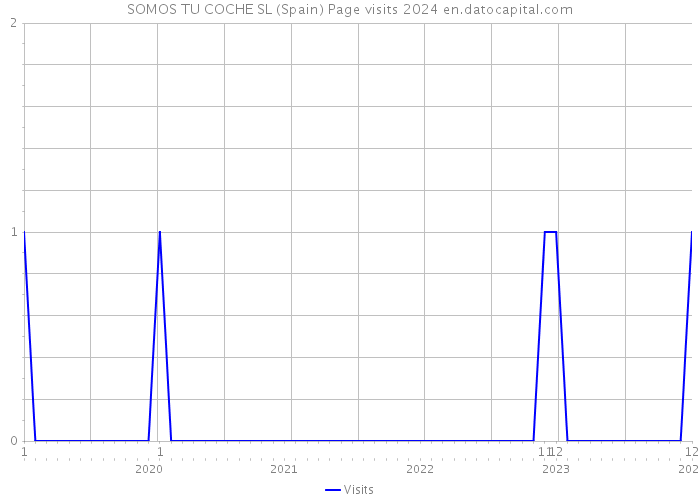 SOMOS TU COCHE SL (Spain) Page visits 2024 