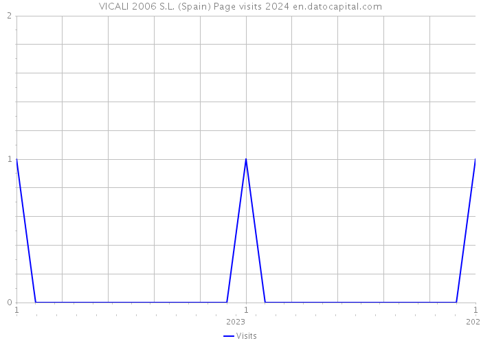 VICALI 2006 S.L. (Spain) Page visits 2024 