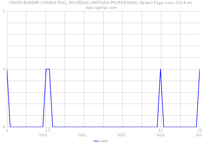 CROSS BORDER CONSULTING, SOCIEDAD LIMITADA PROFESIONAL (Spain) Page visits 2024 